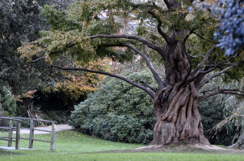 Alexandra Park, Hastings, Sussex: Weds 21st September 2016 - 2.30pm