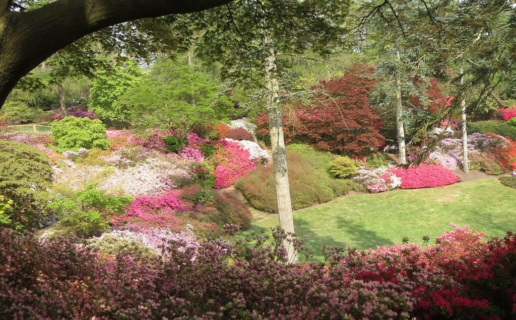 Savill Gardens Day Trip Weds 16 May 2018