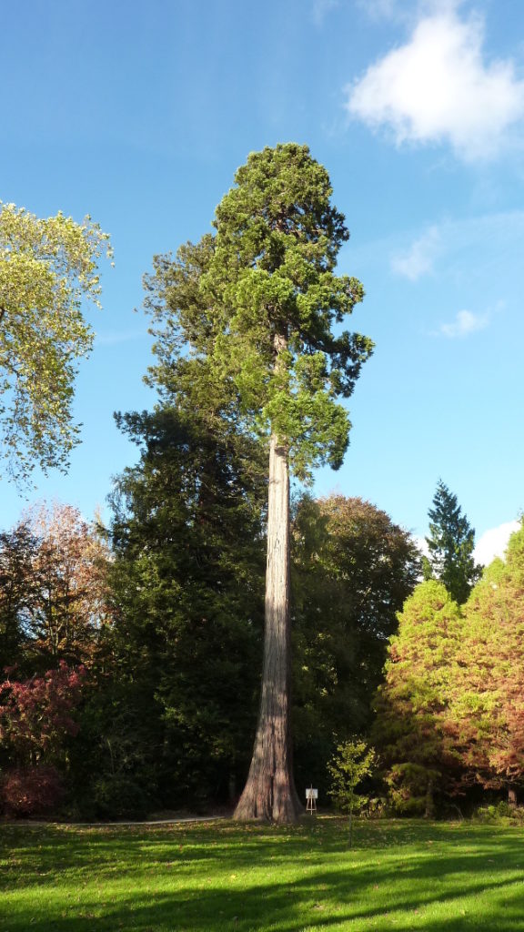 Scotney Castle was a great day trip