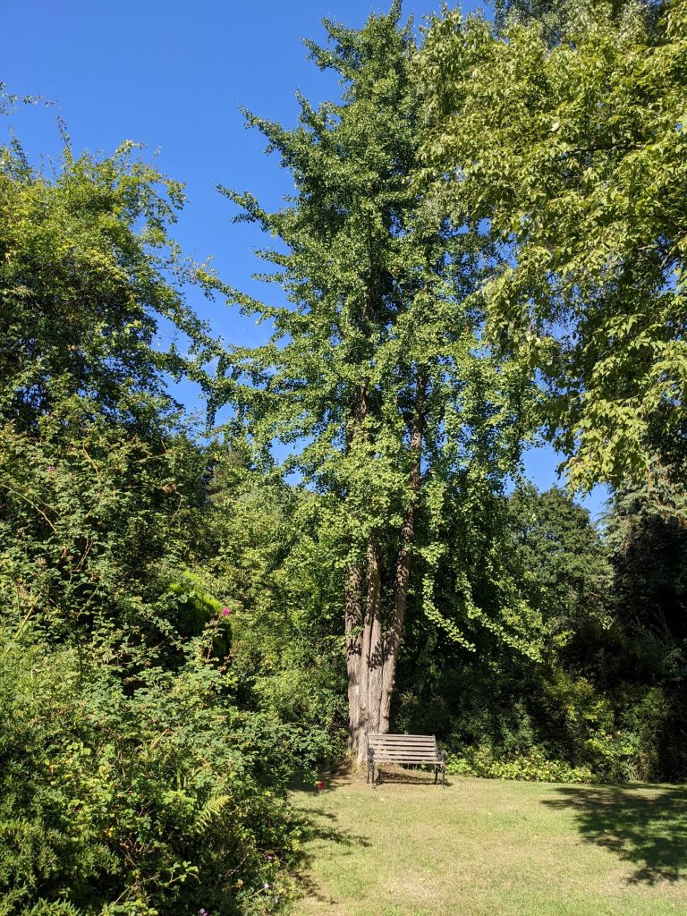 White House Farm 31st August 2022