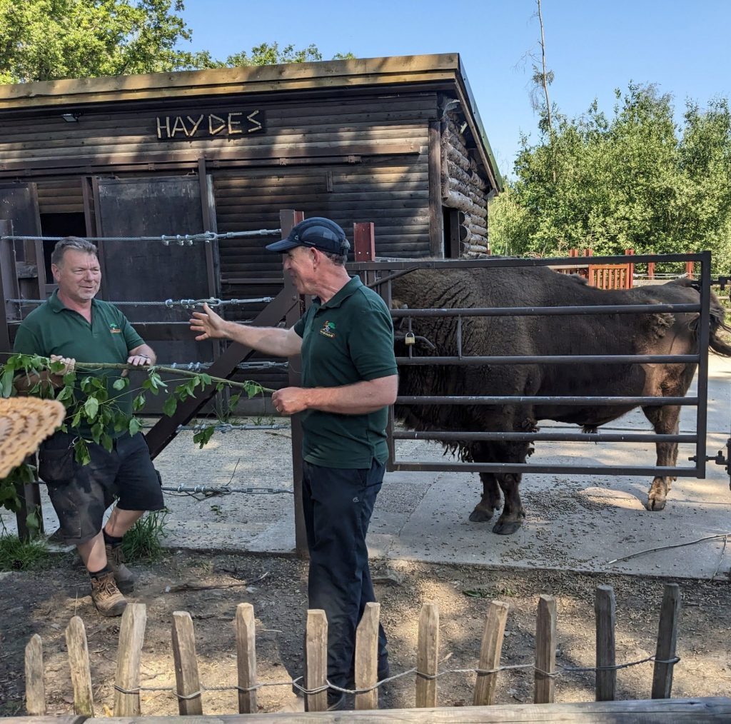 Wildwood Trust and Blean Forest visit 14th June 2023