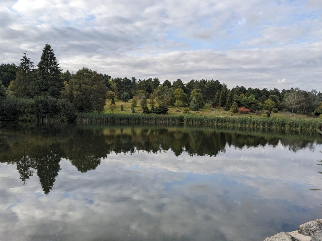 Visit to Bedgebury Pinetum – 13 September 2023