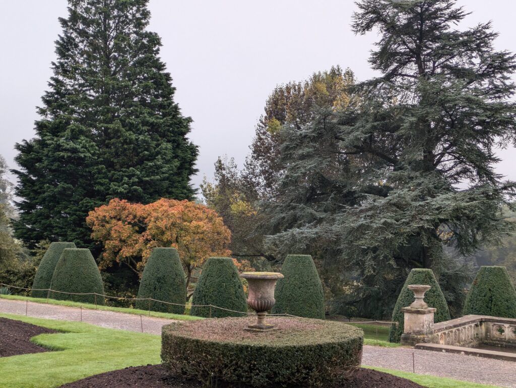 A trip to Somerset, an excursion to Devon and a meeting with Dorset Men of the Trees