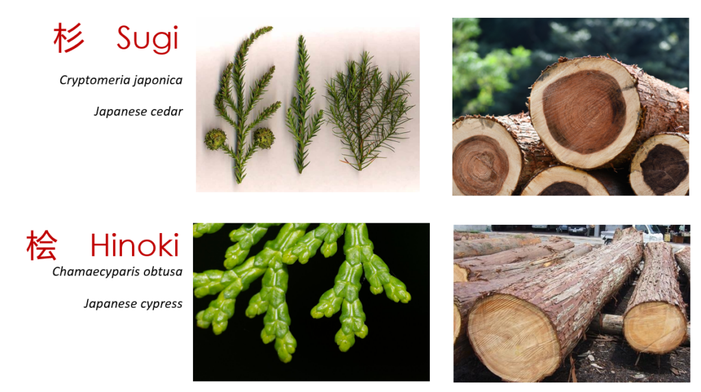 Japanese Forestry talk – Peter Blandon – 11 March 2026